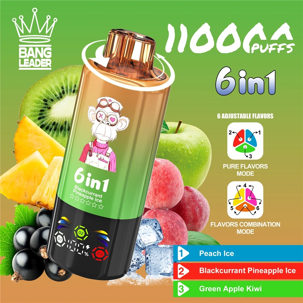 bang-leader-110000-puffs-2025-hot-sale-disposable-vape Bang Leader 110000 Puffs smak Hot Sale - jednorazowy e-papieros VapePol