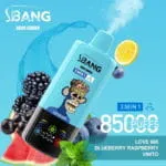 Bang Leader 85000 Puffs - wariant produktu, jednorazowy e-papieros VapePol