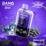 Bang Leader Stoll 120000 Puffs smak Blueberry Ice & Black Currant - jednorazowy e-papieros VapePol