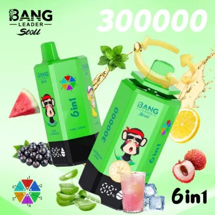 Bang Leader Stoll 300K Puffs