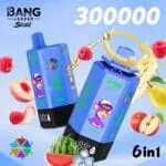 Bang Leader Stoll 300000 Puffs smak 300000 Watermelonice Mixedberries Applepear Blueberrymint Summertime Peach - jednorazowy e-papieros VapePol