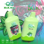 QQ BANG 50000 Puffs smak Mint Ice - jednorazowy e-papieros VapePol
